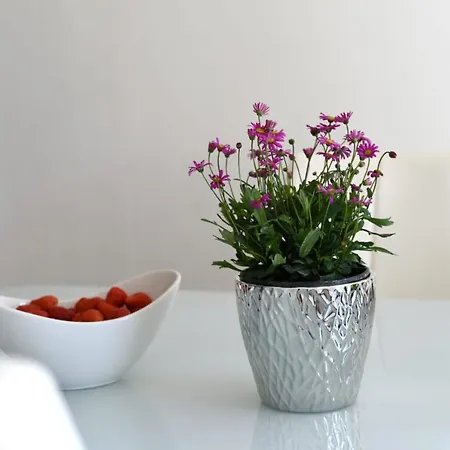 Apartman Vinika Zadar Buitenkant foto