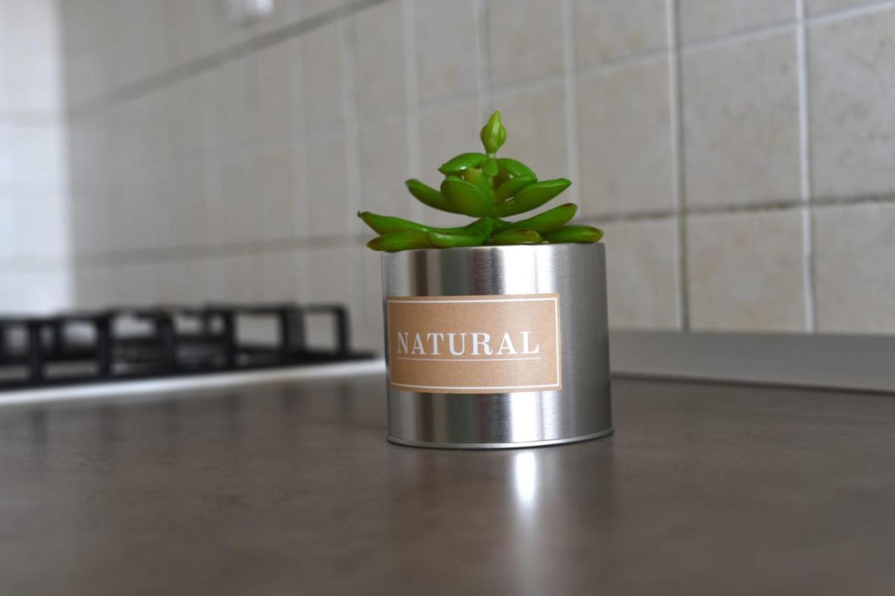 Vinika Appartement